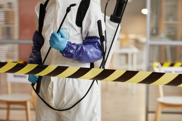Professional Sewage Cleanup technician working in Waynesville, MO